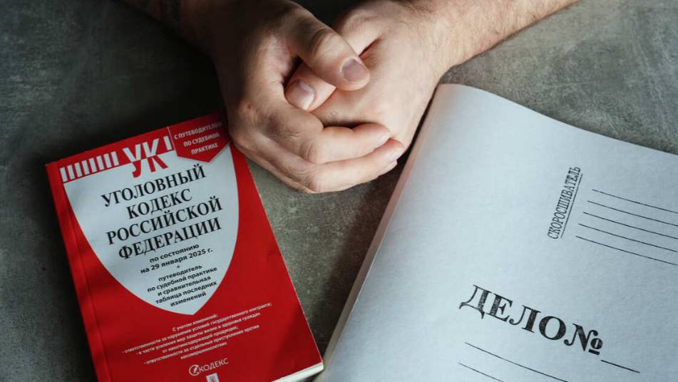 В Госдуме предложили ужесточить наказание за реабилитацию нацизма