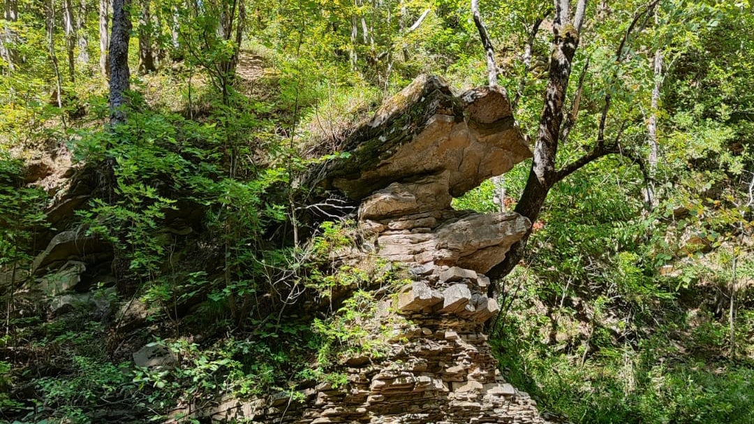 поездка на источник в Краснодарском крае ( вторая часть)