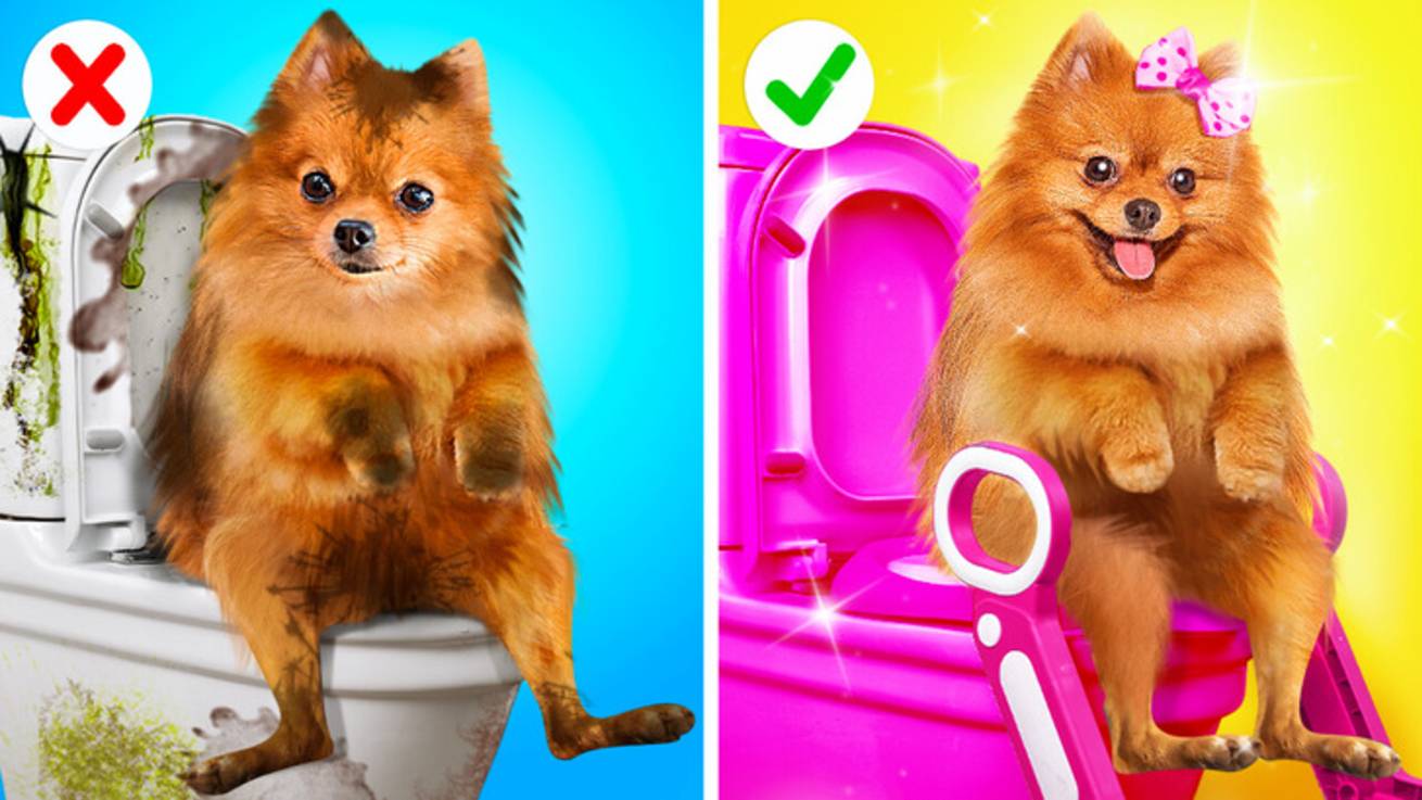 🐶Барби спасает маленькую собачку 💖 Трогательная история дружбы