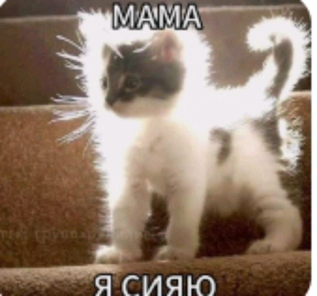 просто разговариваем