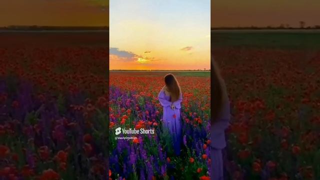 Сиреневое платье Автор песни и стихов Василий Дмитриев #песнядлядуши #песняолюбви #музыка #shorts