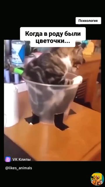 ruhdfhh