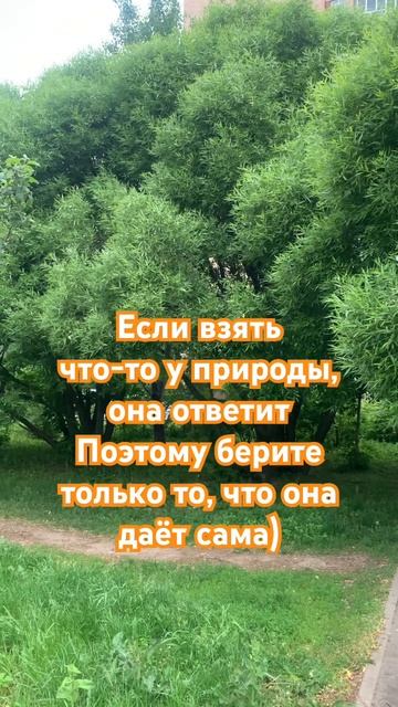 Природа
