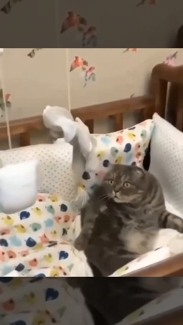 так, что ты такое?😄