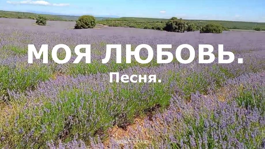 МОЯ ЛЮБОВЬ. Песня.
