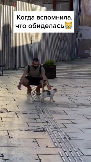 Когда вспомнила, что обиделась