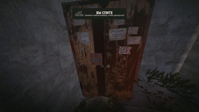 Лучший дом в Rust.