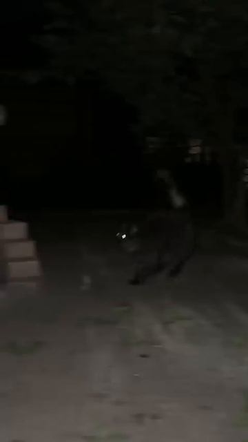 ДОМАШНИЙ КВАС без дрожжей