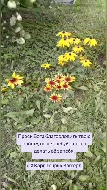 Проси Бога благословить... 🤗🍯🐝