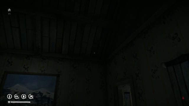 The Long Dark 41