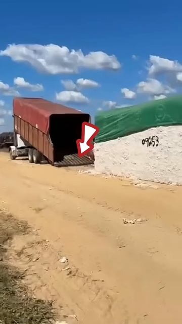 Truck lost, bike won the load #shortsvideo