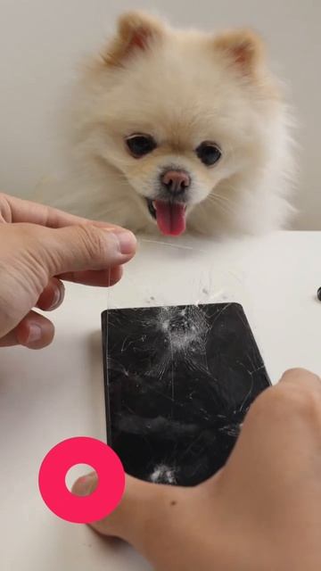 🥰🥰🥰