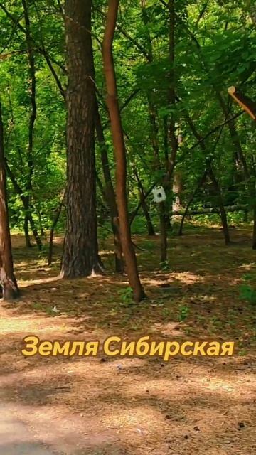 Перед грозой 🌩️
