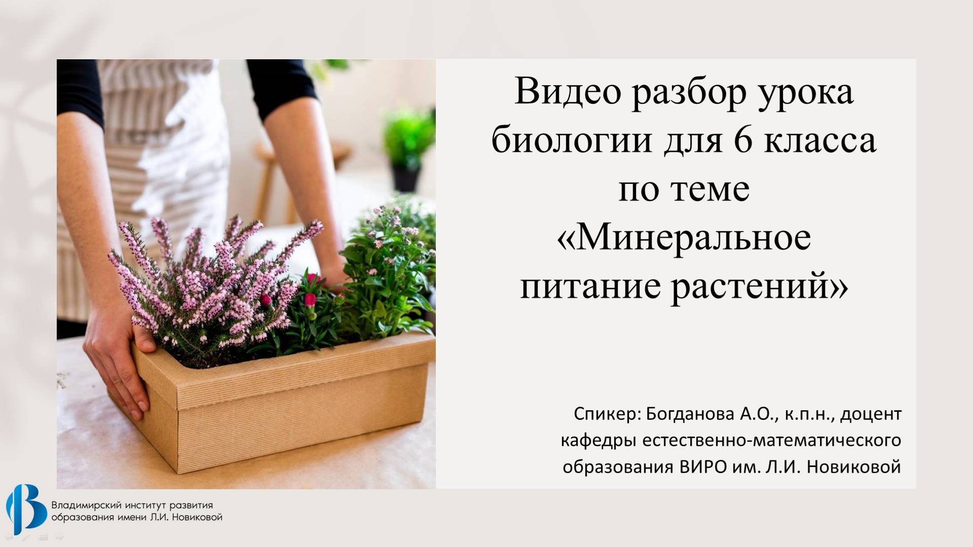 21. Минеральное питание растений