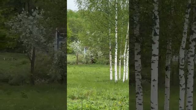 Некрасово участок с домом
