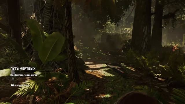 Shadow of the Tomb Raider(PS4) Путишествие по Перу ч2