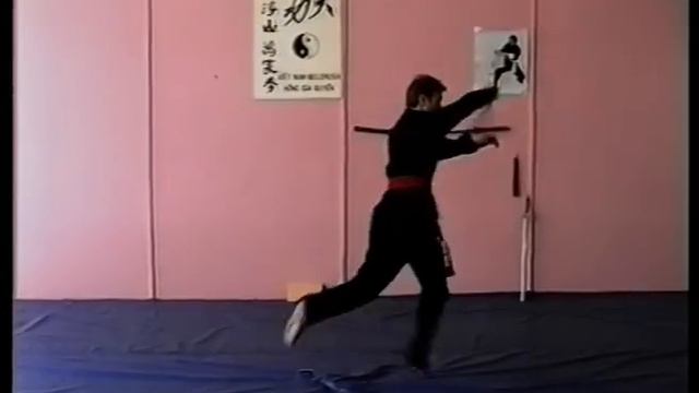 Наша история с 1991 по 2001 школы кунг-фу Hong-Gia Quyen