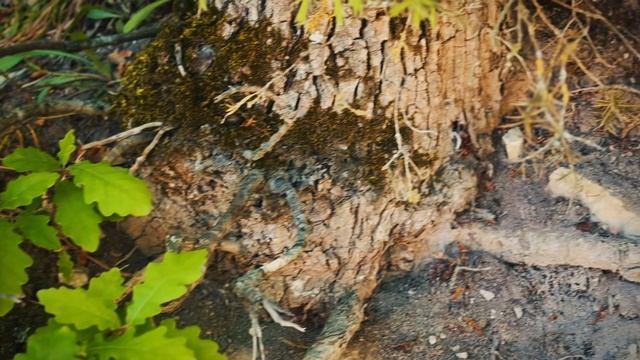 Маленький рай на Кубанской земле — Сукко 🌿 | Ультра Всё Включено отель**** — МоРеми🐬
