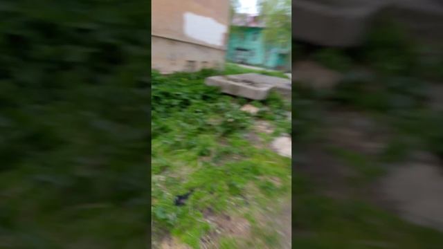 Наверно торнадо 🌀 число :3 июля 2025 год