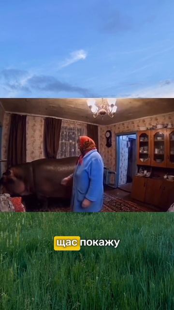 Булька - барабулька
#юмор#прикол#смешно#бабушка#нейросеть
#интересно#смешнойшортс#деревня#питомцы