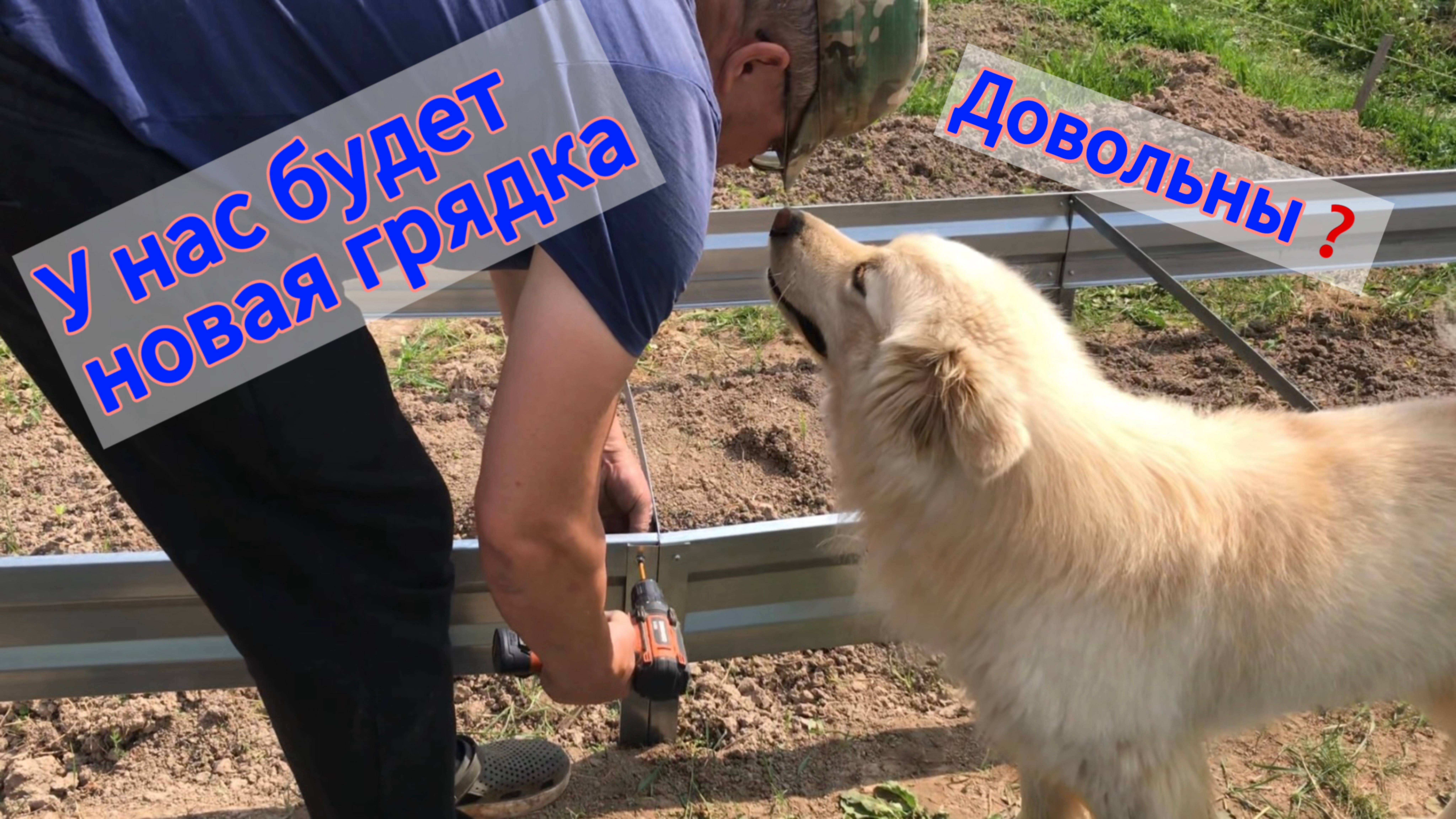 Как мы ставили новую металлическую грядку