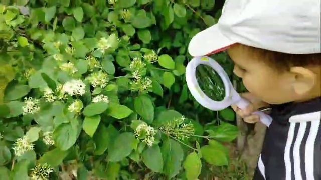 Экогерои.03.06.2025