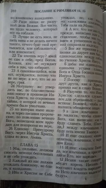 Стих олива.🌿
