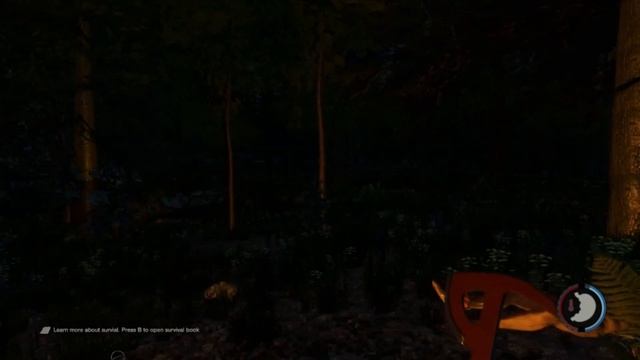 Первый Взгляд: The Forest