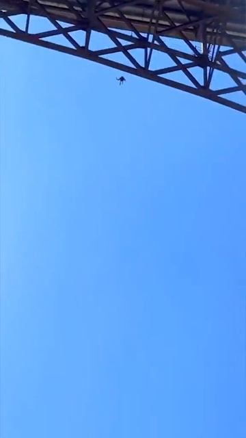 Допрыгался
