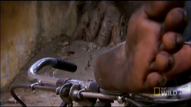 Rickshaw Raid | Rebel Monkeys