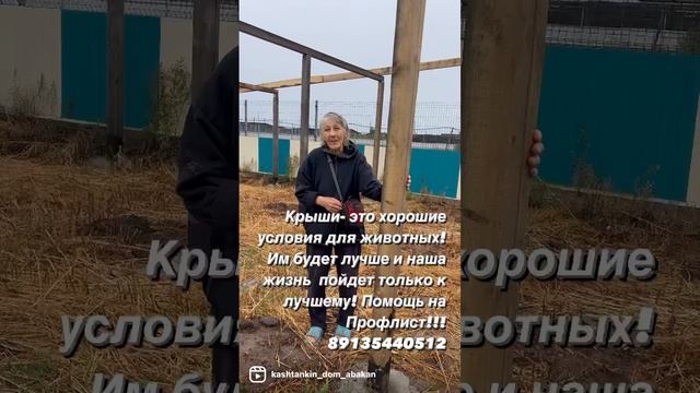 Сказки из жизни приют Хакасия крыши для собак! Помощь ?