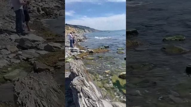 Пляж без мазута. Варваровка. Лето 2025.
