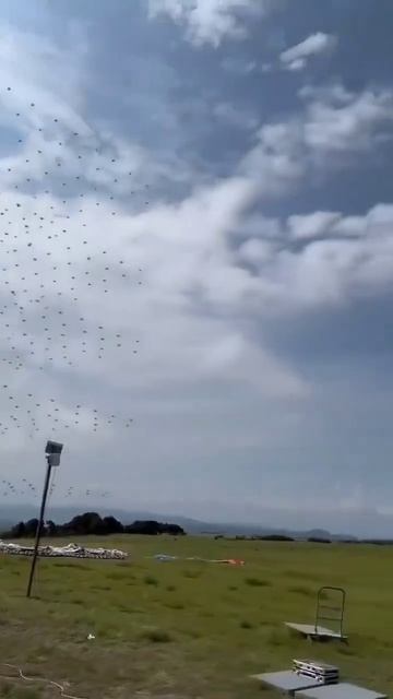 telegram-cloud-document-2-5330096281677230891