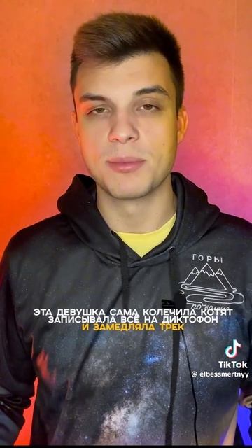 мне жалко котят