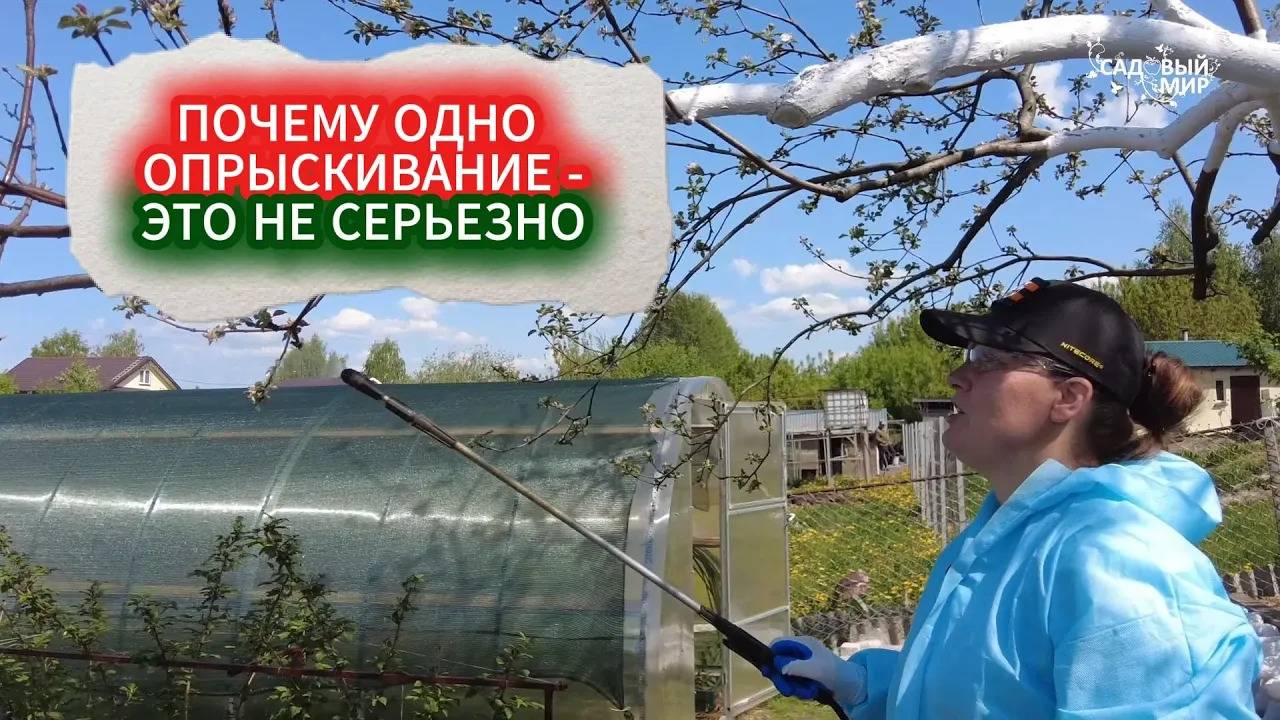ПОЧЕМУ ОДНА ОБРАБОТКА ПЛОДОВЫХ - ЭТО НЕ СЕРЬЕЗНО! ВТОРАЯ ОБРАБОТКА ВЕСНОЙ ОТ ВРЕДИТЕЛЕЙ И БОЛЕЗНЕЙ.