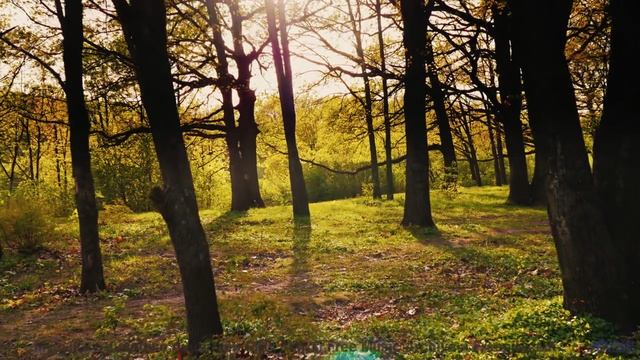 Музыка, которая делает каждый поворот маршрута поцелуем судьбы - Lamb And Wolf -- Podington Bear --