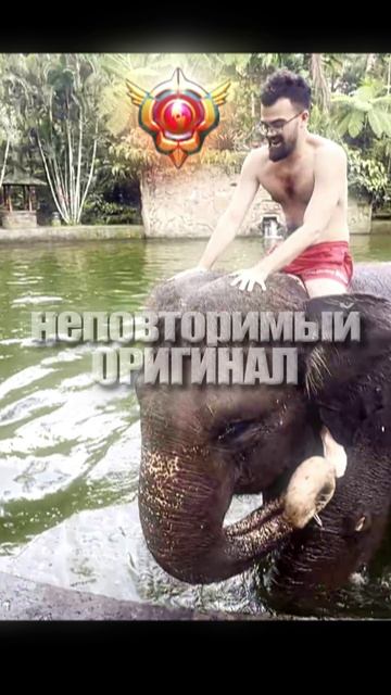 ОРИГИНАЛЬНЫЙ течис НА МЕСТЕ #dota2 #дота2