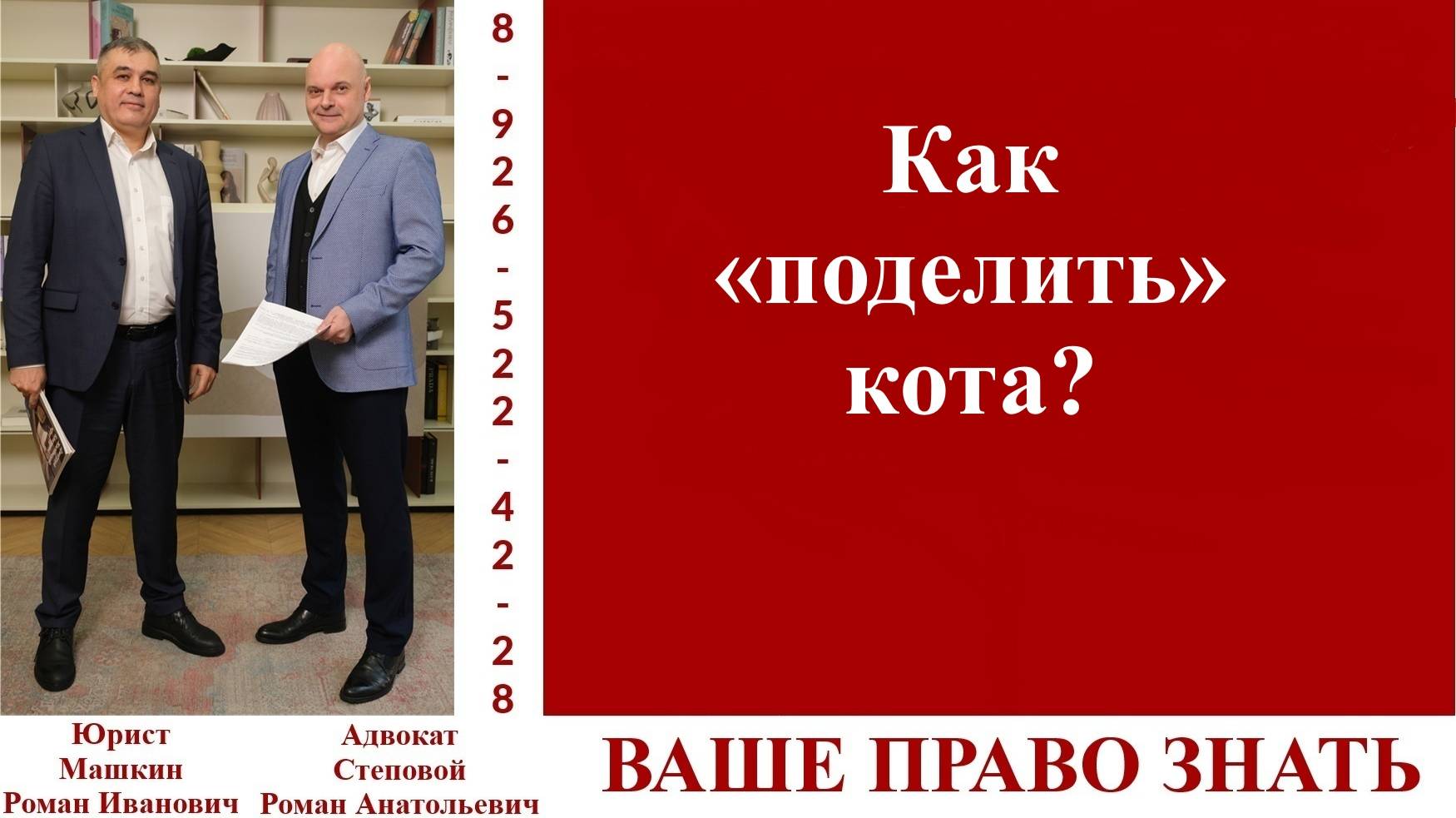 Как «поделить» кота?