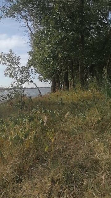 Даня на речке