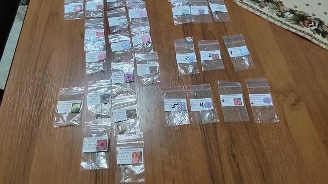 Какие сорта ампельной петунии выращиваю в этом году. Обзор рассады петунии Обзор семян .