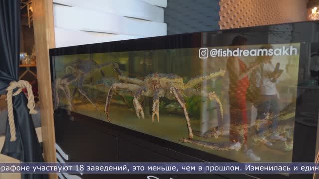 03.06.2025 Гастрономический марафон «Дикоросия» стартовал в Южно-Сахалинске
