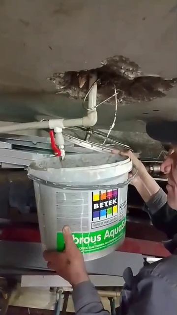 Ульянова, 97