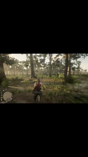 ЛЮДИ ЛЮДОЕДЫ- ПРОДОЛЖЕНИЕ БУДЕТ НА КАНАЛЕ СКОРО. rdr2 rdr2online redwestrp rp