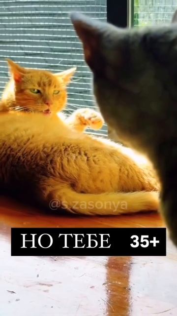 Это мы 35+