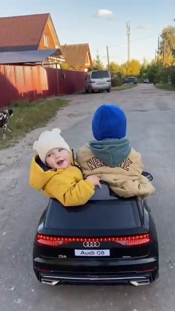 Павлов Family (1242)