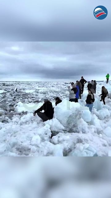 Ледоход на Енисее: Красноярск встречает лето