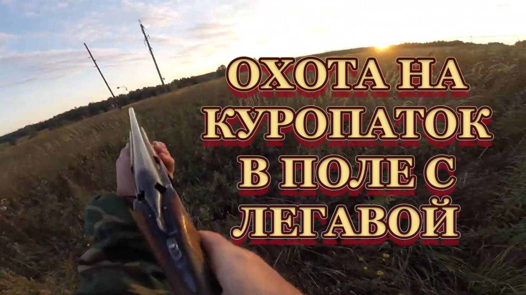 Охота с братишкой, на куропатку в поле, с легавой.
