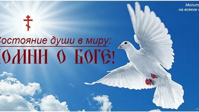 † 💎 ПРИНЦИП ОПТИМАЛЬНОСТИ ЖИЗНИ (еда, сон, дорога...) - 3.59.MP4