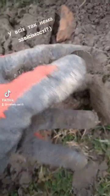 Метало коп з ФортунойМ3 #металлоискатель #коп #фортуна
