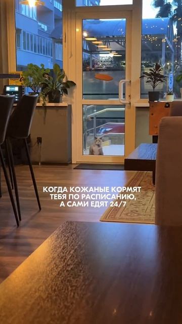 В одном из баров Адлера